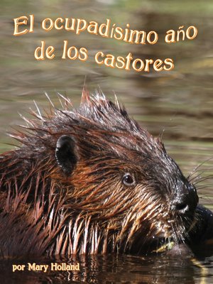 El ocupadísimo año de los castores - ebook